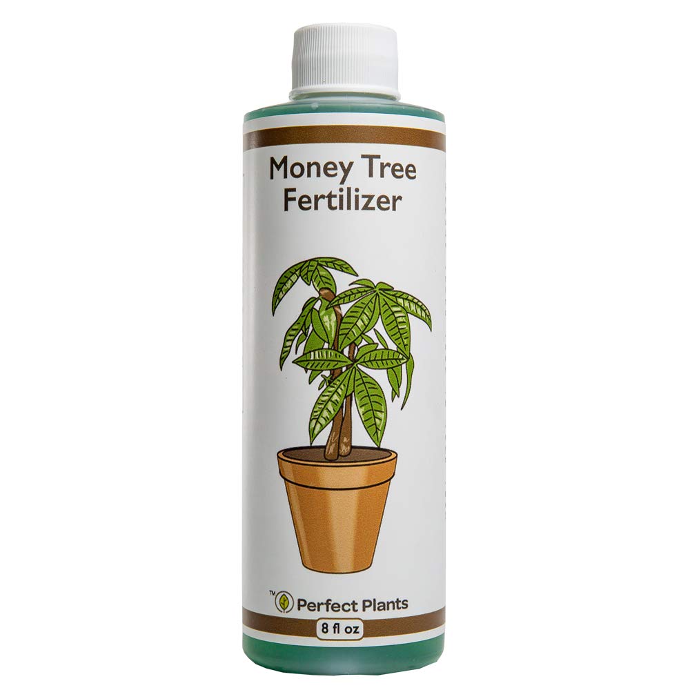 8 oz Liquid Indoor Plant Fertilizer L732