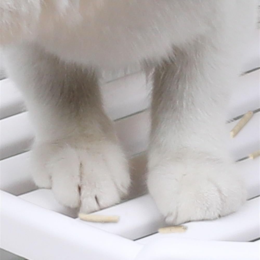 Enclosed Top-Entry Cat Litter Box with Scoop A348