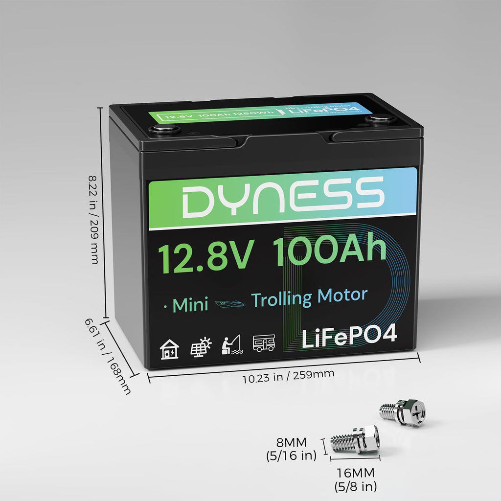 12V 100Ah Mini LiFePO4 Lithium Battery O85727