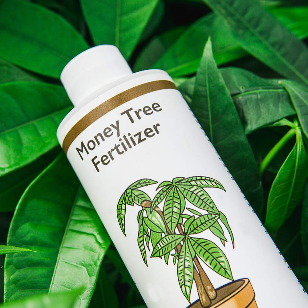 8 oz Liquid Indoor Plant Fertilizer L732