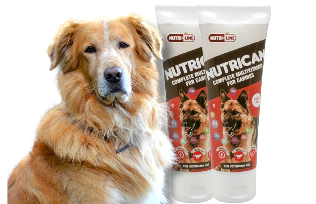 Multivitamin Nutritional Gel for Dogs 4.25 oz K980590
