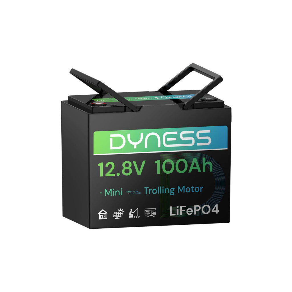 12V 100Ah Mini LiFePO4 Lithium Battery O85727