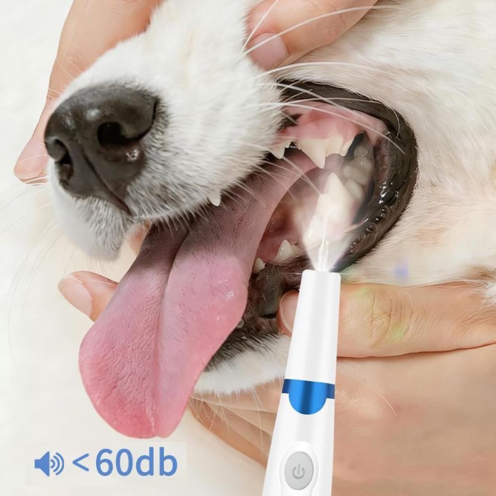 Pet Ultrasonic Tooth Cleaner with 3 Adjustable Modes G340415