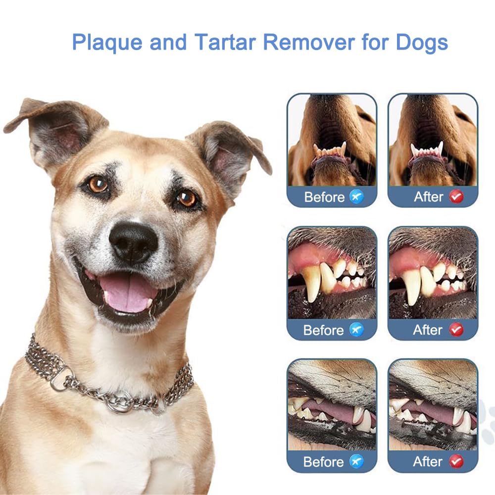 Pet Ultrasonic Tooth Cleaner with 3 Adjustable Modes G340415