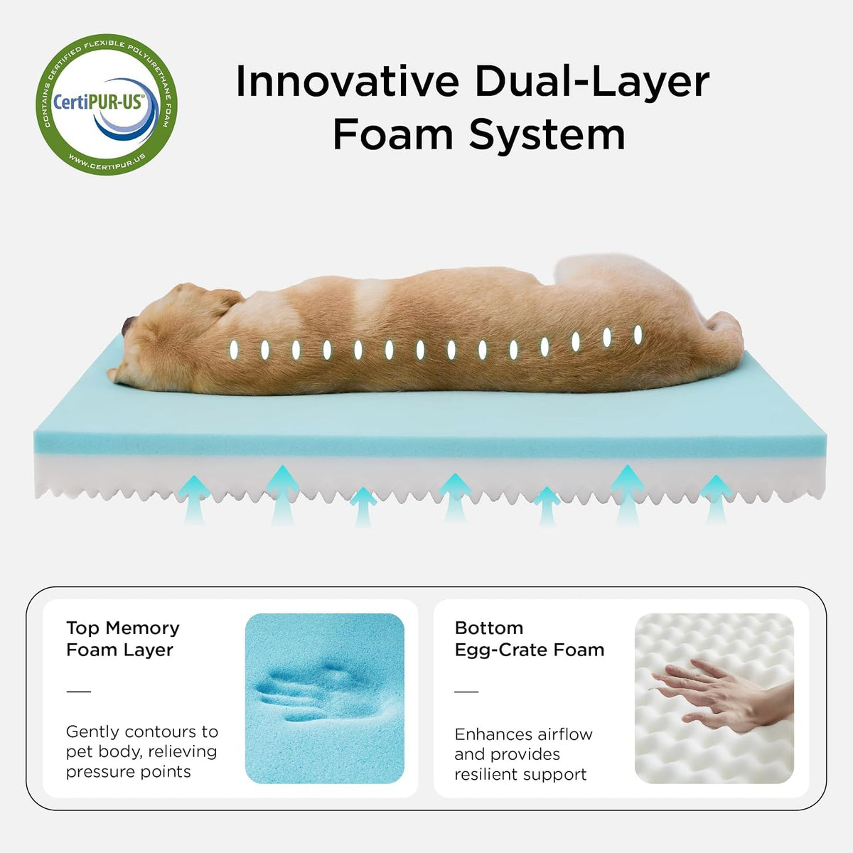 Memory Foam Dog Bed 35x22 O994