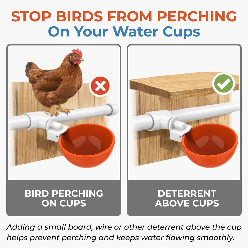 Large Automatic Chicken Waterer Cups with 1/2" PVC Tee Fittings 5-Pack N233905
