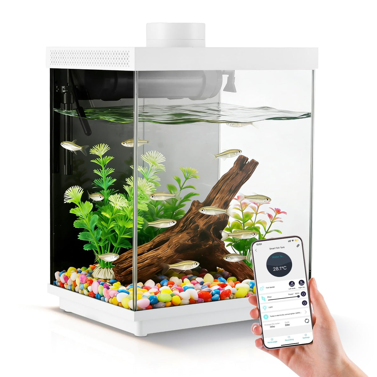 3 Gallon Glass Fish Tank Aquarium Kit with APP Control O997861