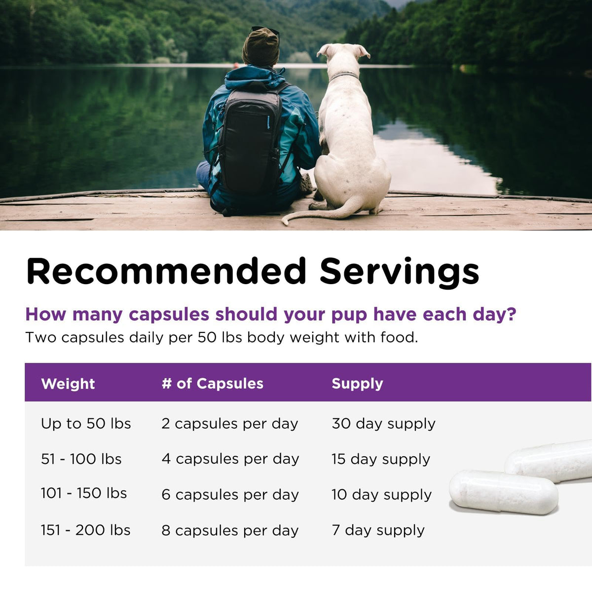 Probiotics for Dogs 60 Count K745798
