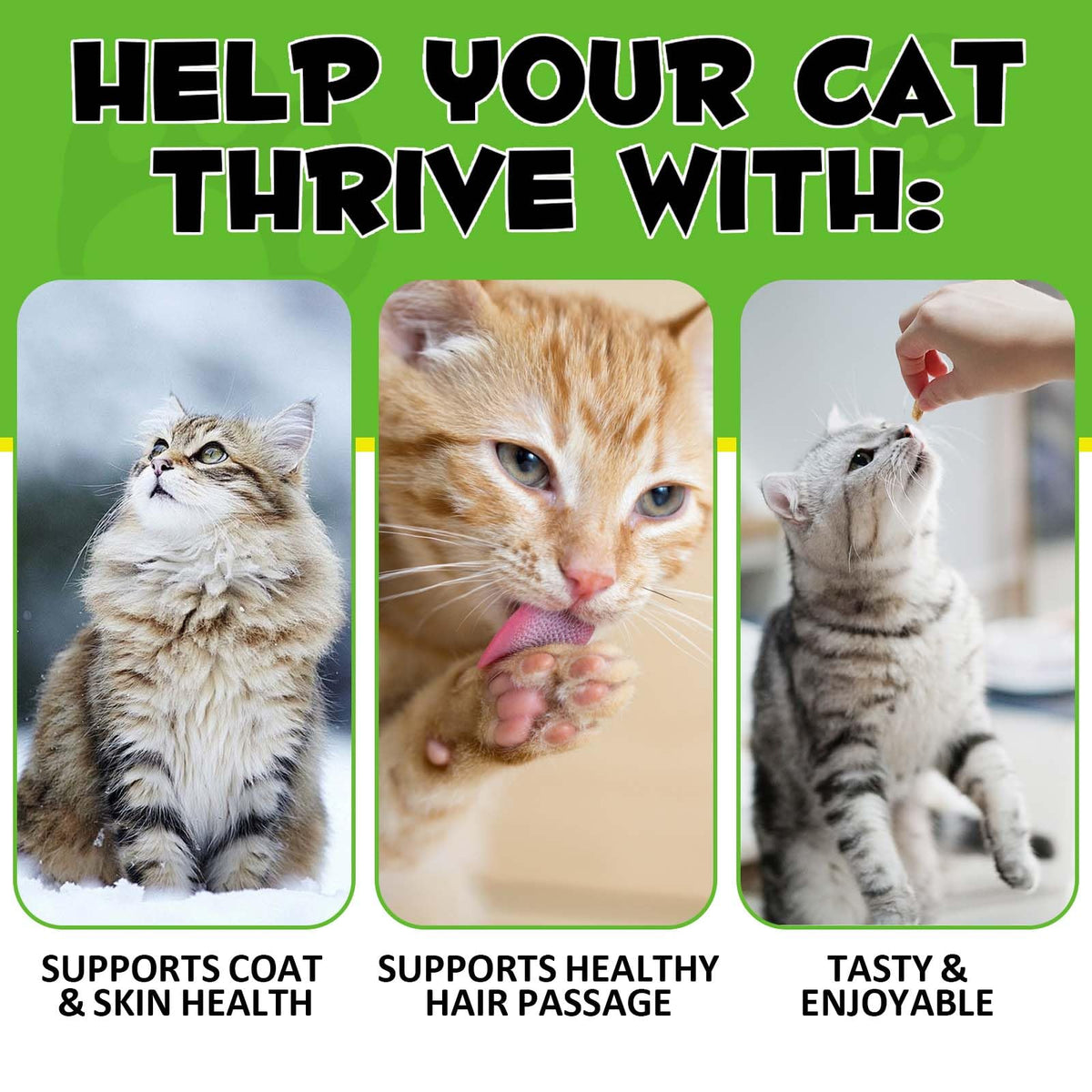 Cat Hairball Support Chews with Cat Grass & Omega-3 Fish Oil O553