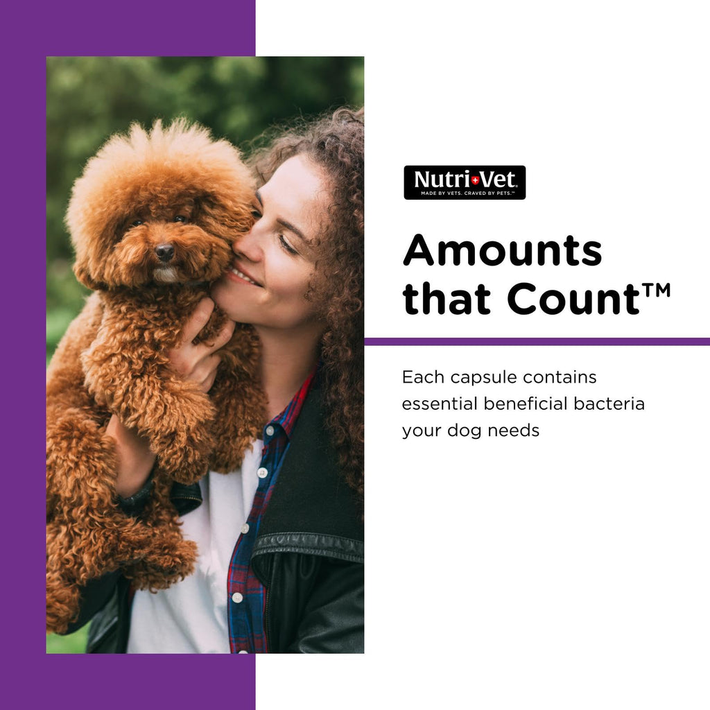 Probiotics for Dogs 60 Count K745798