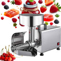450W Stainless Steel Electric Tomato Strainer L165
