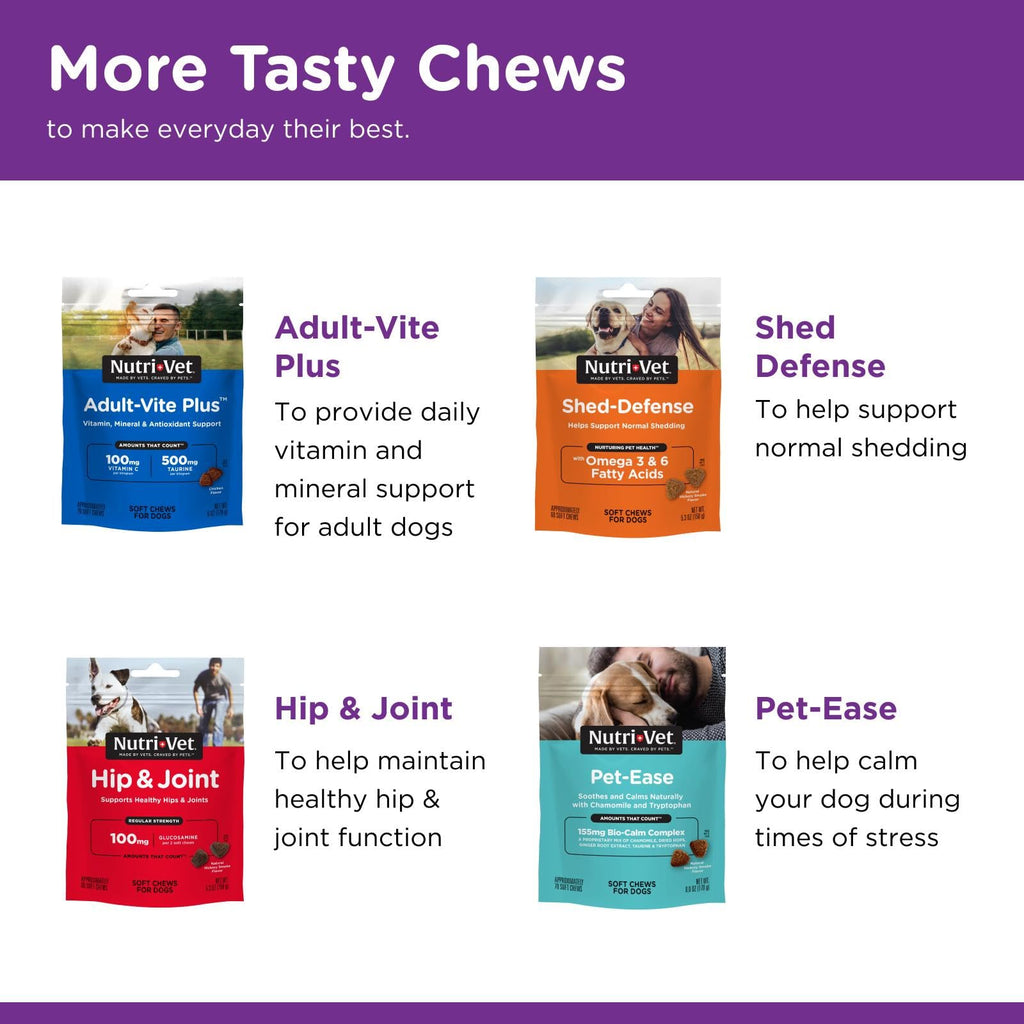 Probiotics for Dogs 60 Count K745798