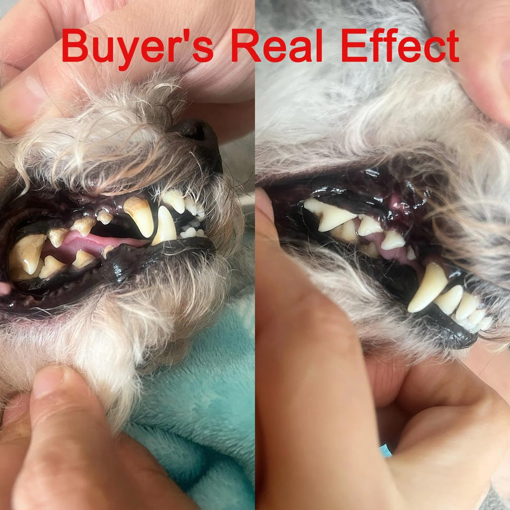 Pet Ultrasonic Tooth Cleaner with 3 Adjustable Modes G340415