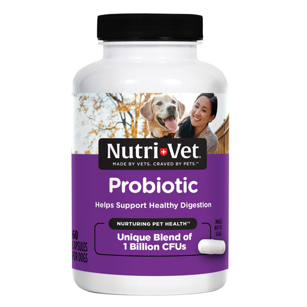 Probiotics for Dogs 60 Count K745798
