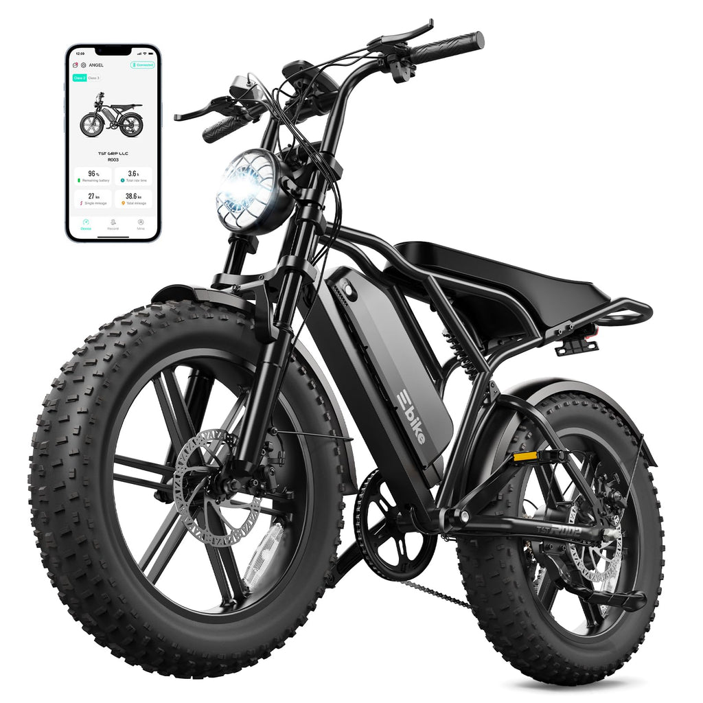 Electric Bike for Adults 48V 15Ah Fat Tire P201