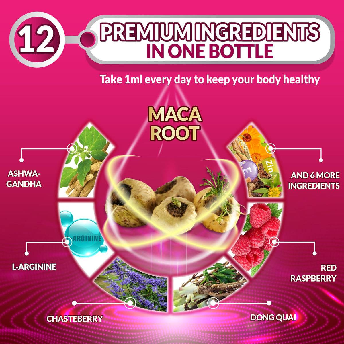 Maca Root Liquid Drops with Ashwagandha 1 Fl Oz H4908