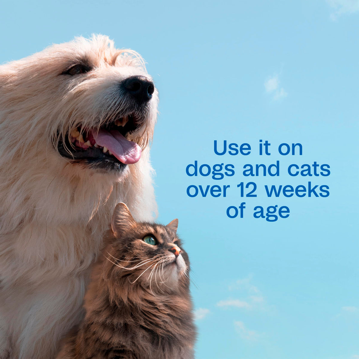 Plus Pyrethrin Flea Dip For Dogs and Cats 4 Fl oz E83848