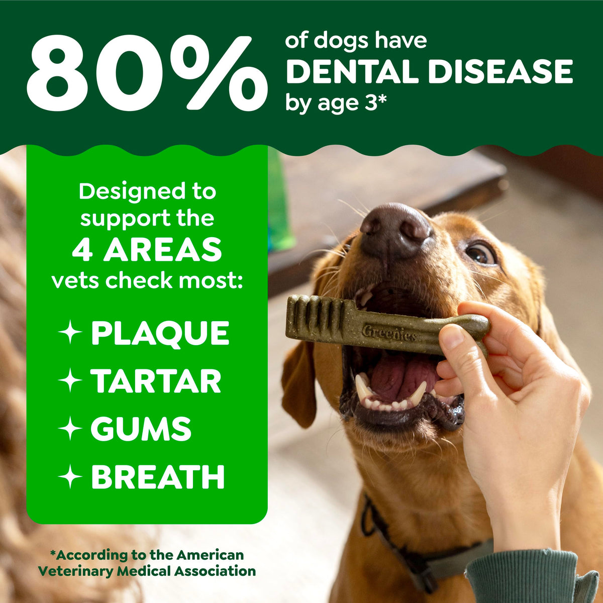 Large Dental Dog Treats 24 Count Q250
