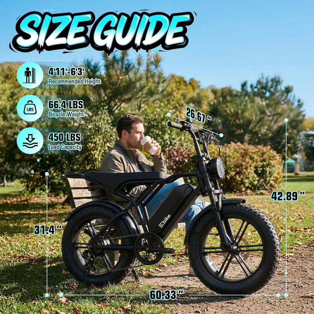 Electric Bike for Adults 48V 15Ah Fat Tire P201