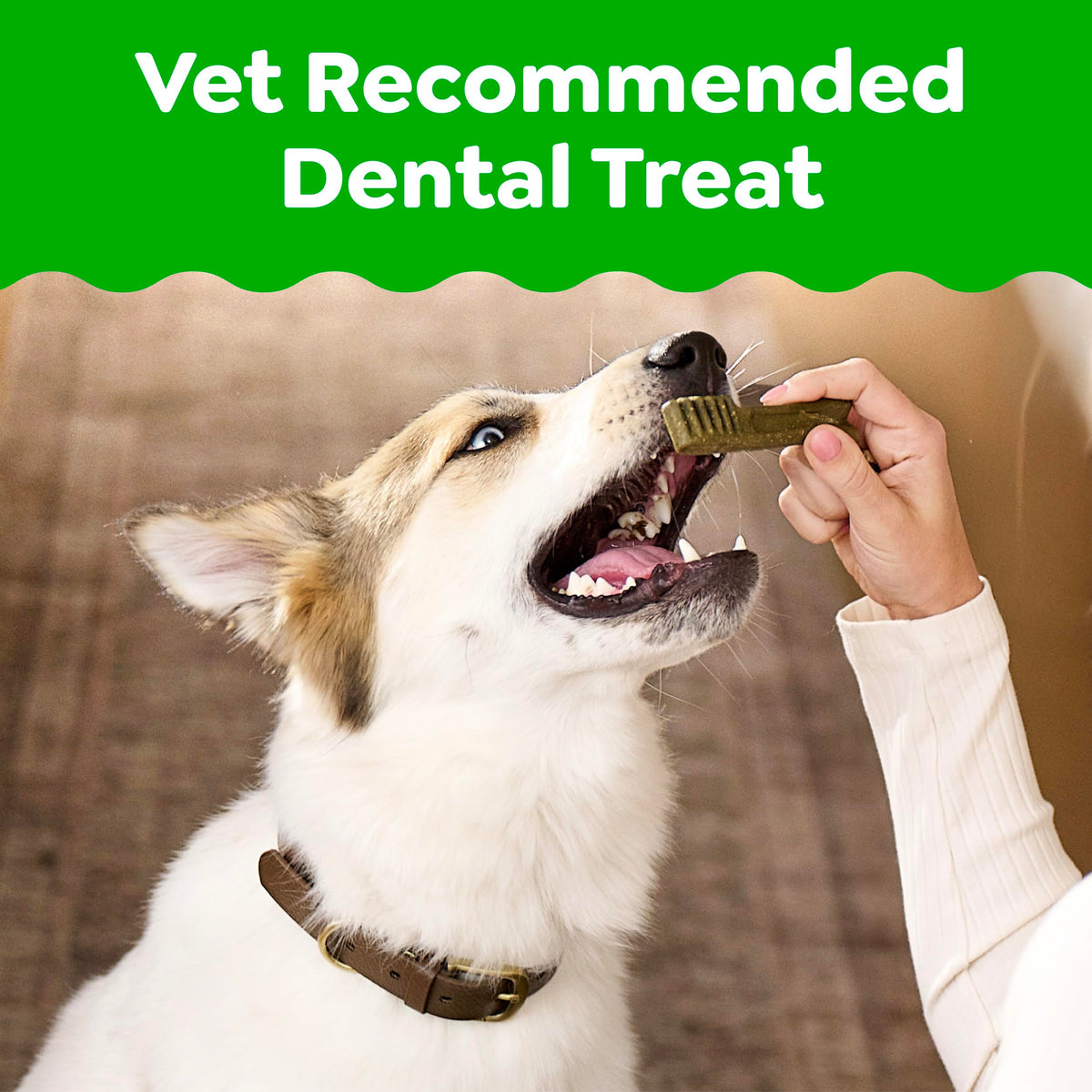 Large Dental Dog Treats 24 Count Q250