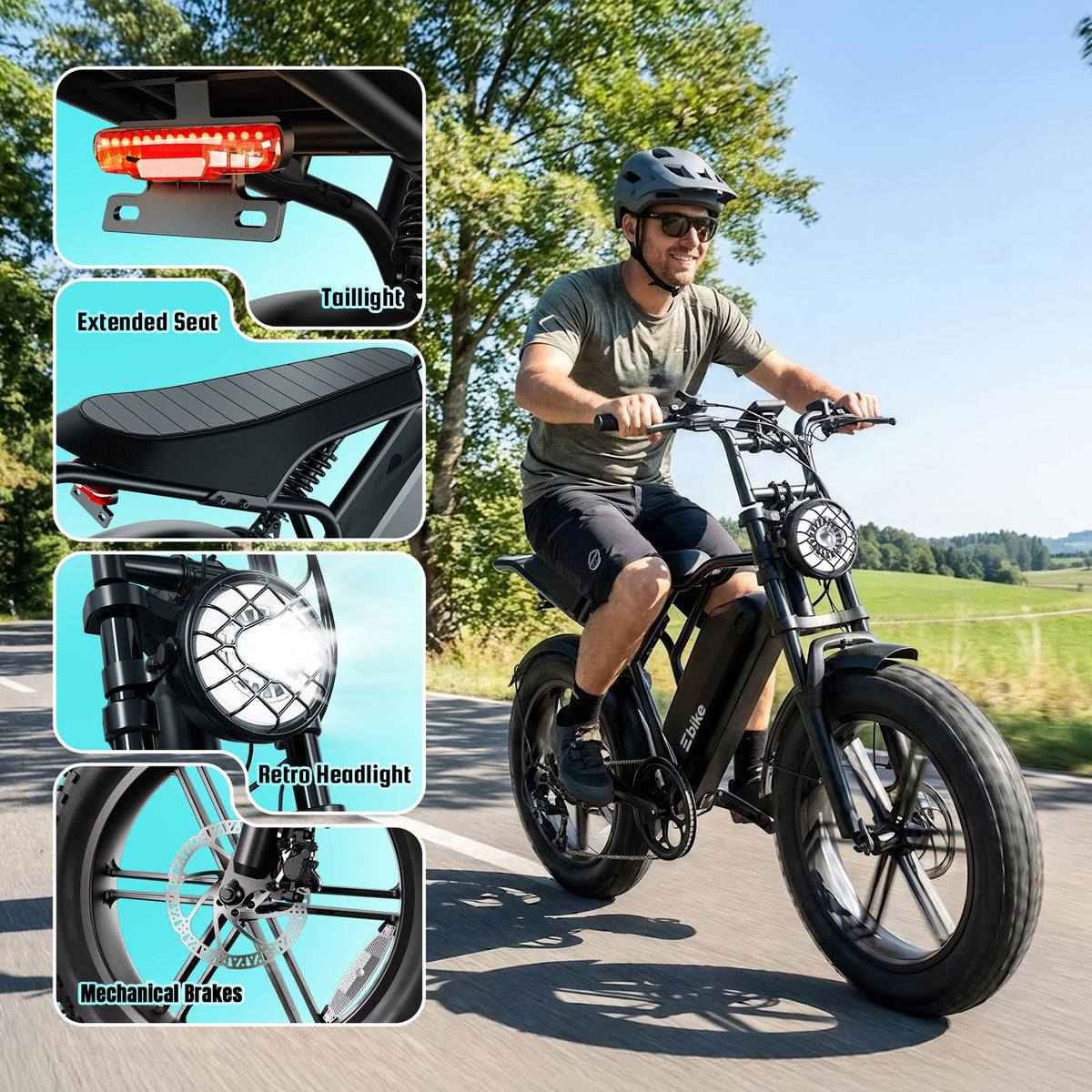 Electric Bike for Adults 48V 15Ah Fat Tire P201