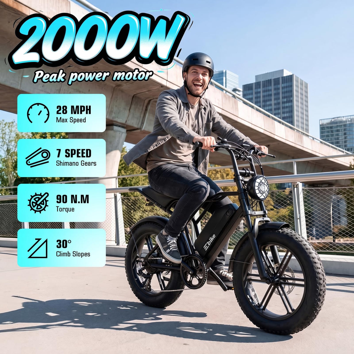 Electric Bike for Adults 48V 15Ah Fat Tire P201