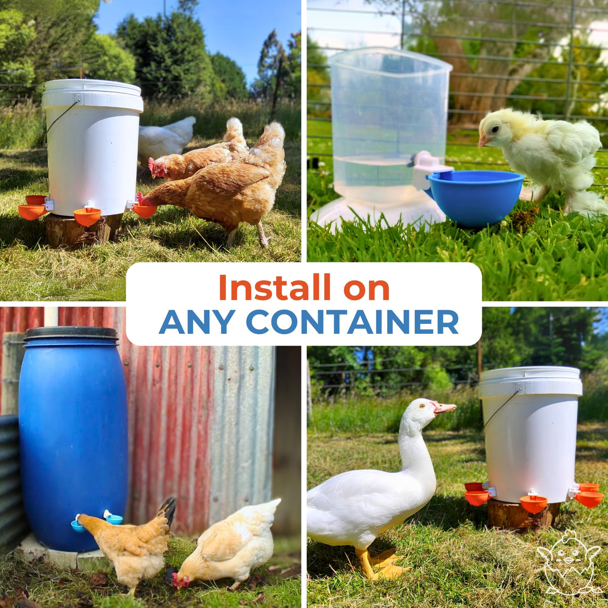 Large Automatic Chicken Waterer Cups 5-Pack G106296