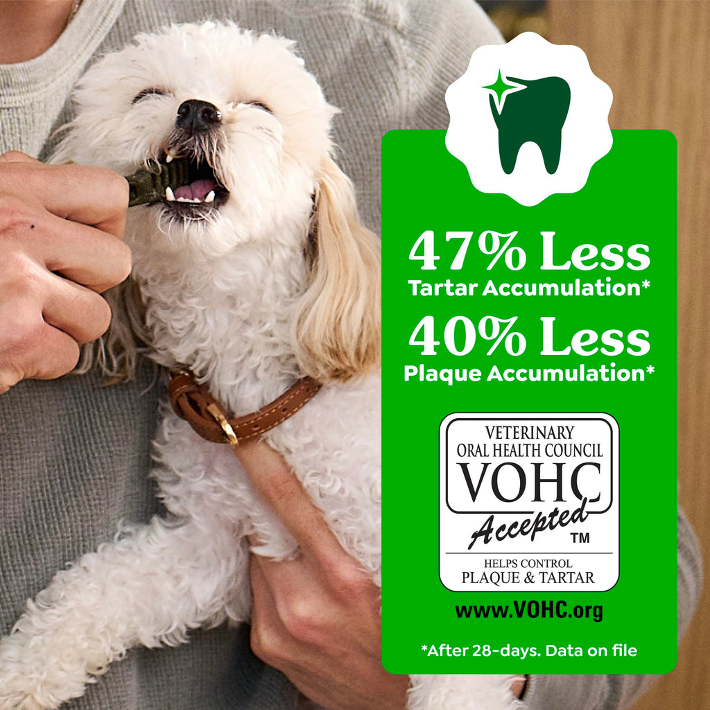 Large Dental Dog Treats 24 Count Q250
