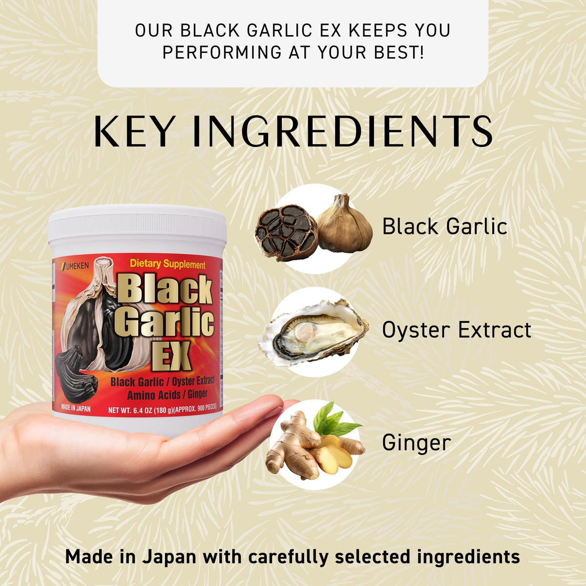 Black Garlic Supplement with Vitamin B, 6.4 Ounce Bottle, Pack of 2 G803