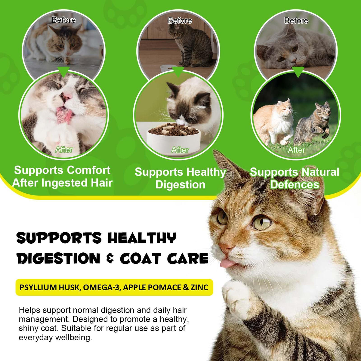 Cat Hairball Support Chews with Cat Grass & Omega-3 Fish Oil O553