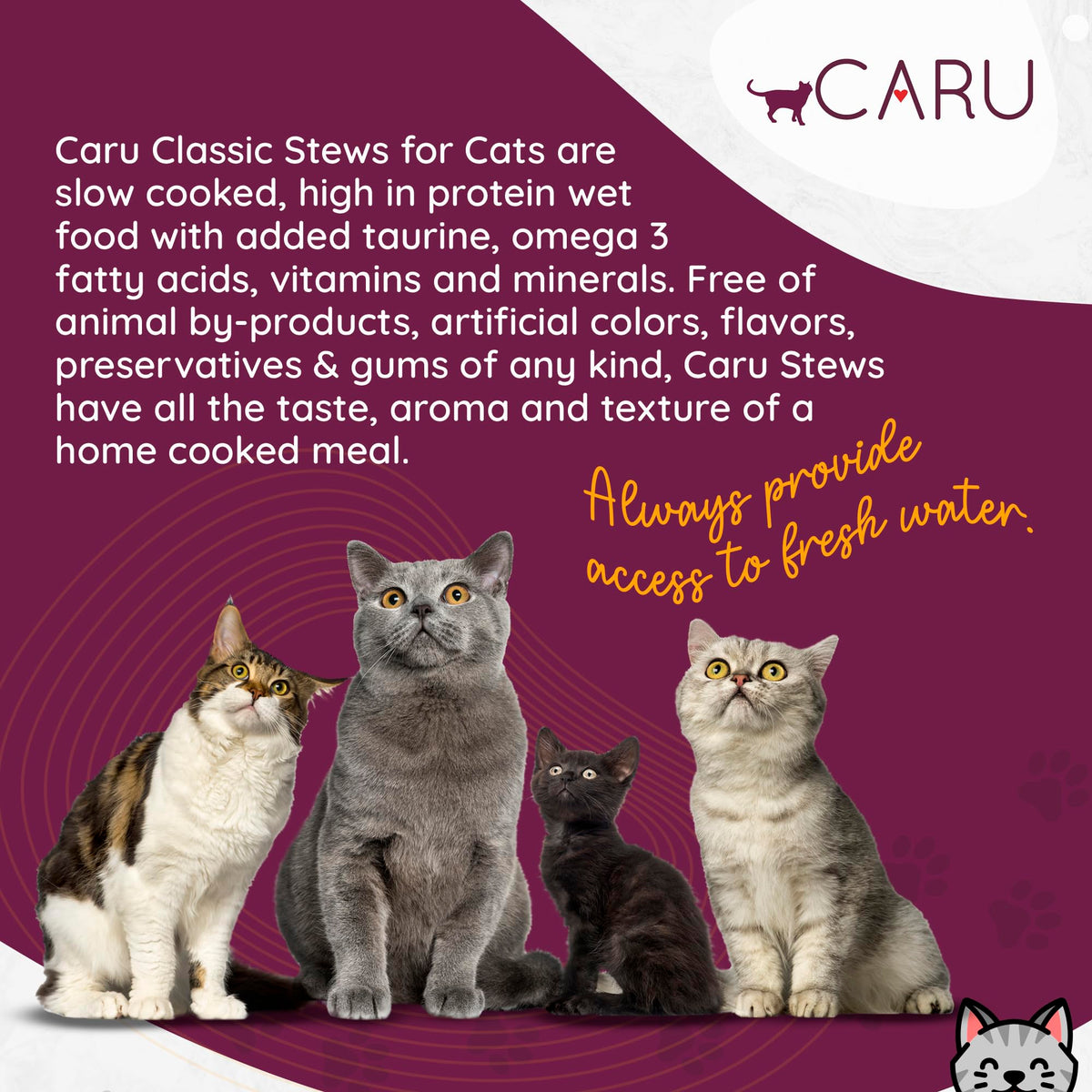 Turkey Recipe Cat Stew 5.5 oz Case of 12 Z7831