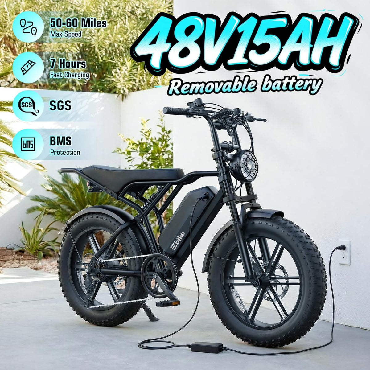 Electric Bike for Adults 48V 15Ah Fat Tire P201