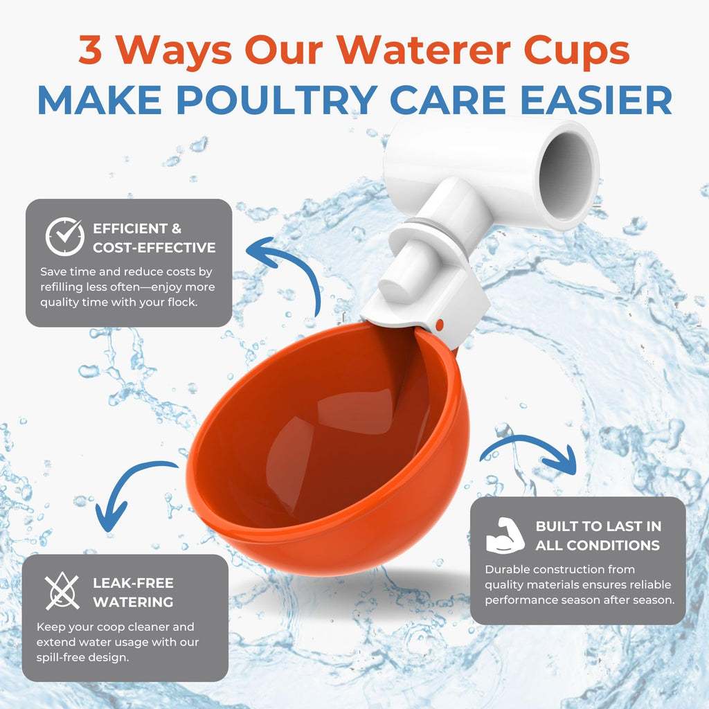 Large Automatic Chicken Waterer Cups with 1/2" PVC Tee Fittings 5-Pack N233905