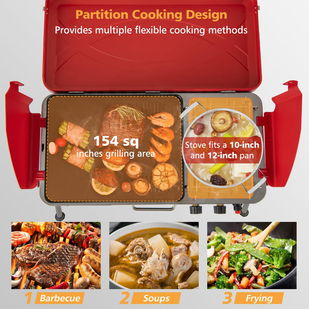 Portable Propane Gas Grill & Stove N663