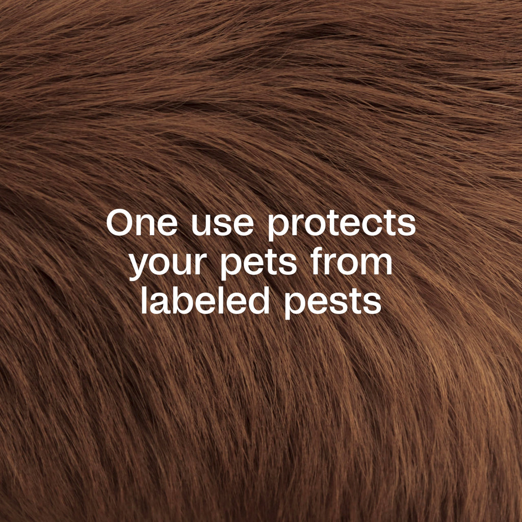 Plus Pyrethrin Flea Dip For Dogs and Cats 4 Fl oz E83848