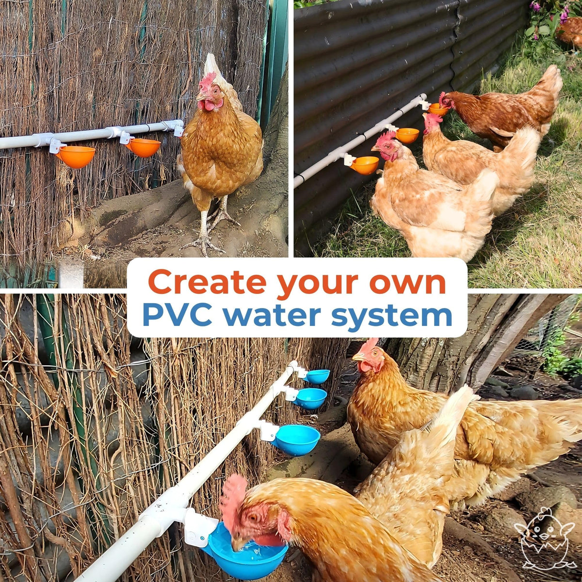 Large Automatic Chicken Waterer Cups with 1/2" PVC Tee Fittings 5-Pack N233905