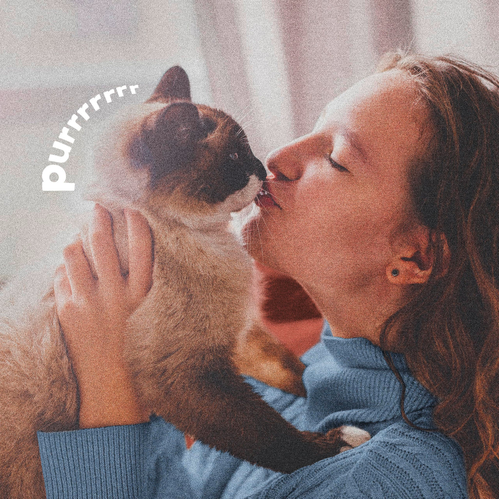 Plus Pyrethrin Flea Dip For Dogs and Cats 4 Fl oz E83848
